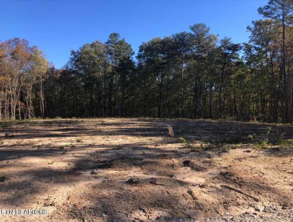 Photo of 343 Annabelle Way, Jamestown, TN 38556 (MLS # 1344484)