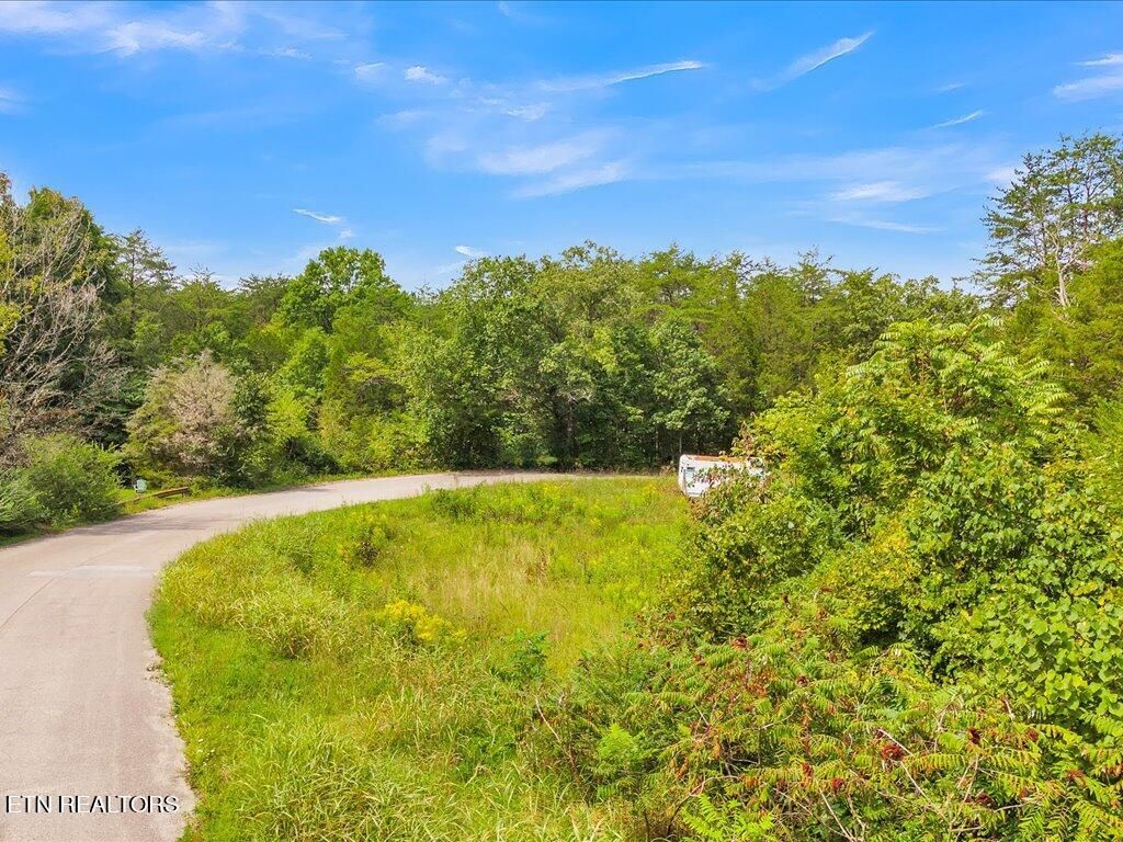 Photo of 175 Miller Rd, Bean Station, TN 37708 (MLS # 1276129)