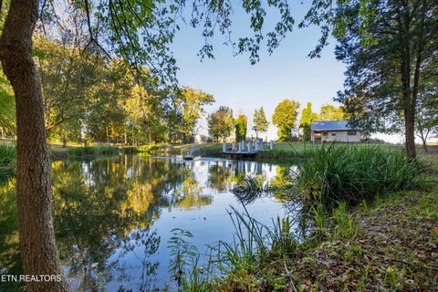 Tiny photo for 364 Tunnel Lane, Greeneville, TN 37745 (MLS # 1359791)