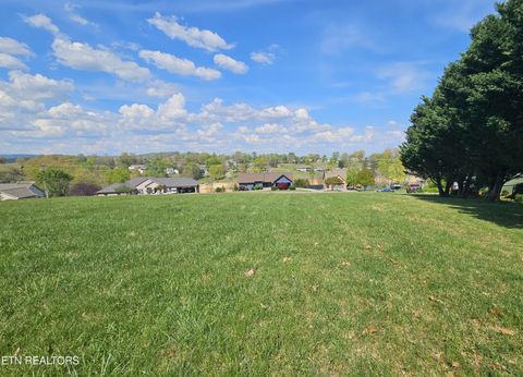 Tiny photo for 84 Mallard Baye, Rutledge, TN 37861 (MLS # 1336458)