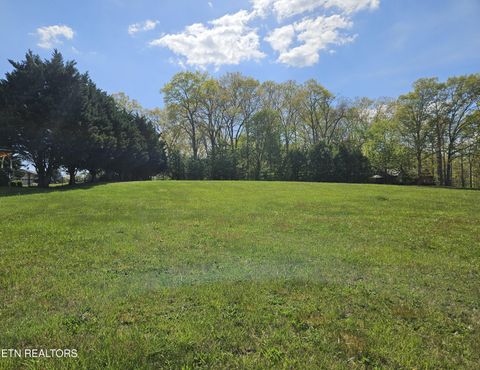 Tiny photo for 84 Mallard Baye, Rutledge, TN 37861 (MLS # 1336458)