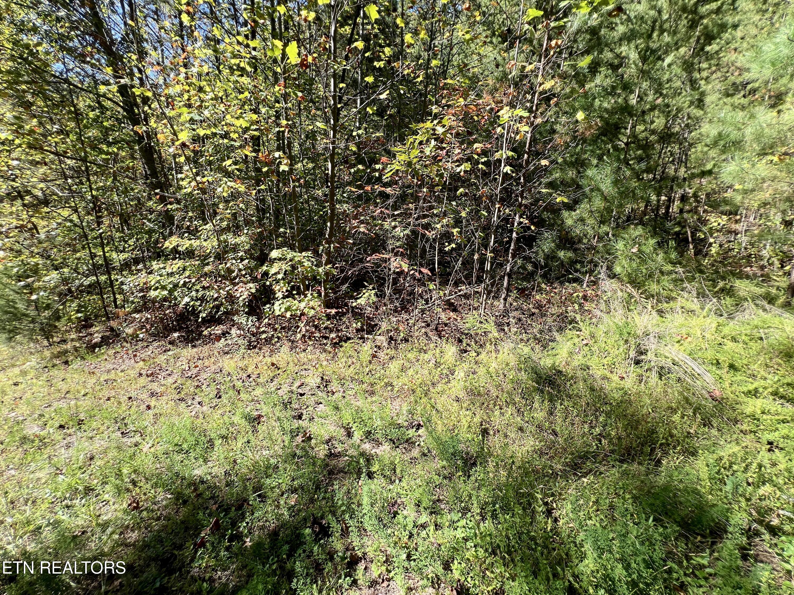 Parcel 20 Creek Hollow Way