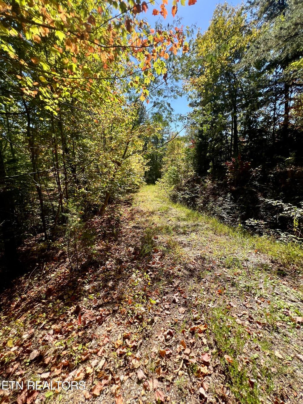 Photo of 20 Creek Hollow Way, Sevierville, TN 37876 (MLS # 1320088)