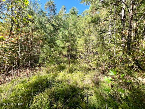 Parcel 20 Creek Hollow Way Sevierville TN 37876