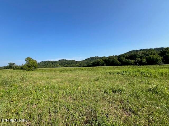 Photo of 7662 Haws Rd #3, Knoxville, TN 37920 (MLS # 1272065)