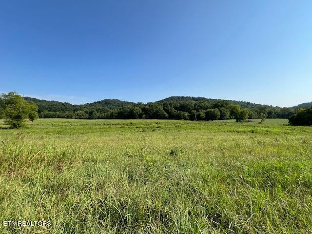 Photo of 7662 Haws Rd #3, Knoxville, TN 37920 (MLS # 1272065)