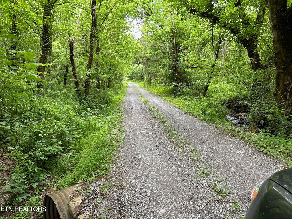 Photo of 6997 Beech Grove Rd, Tazewell, TN 37879 (MLS # 1265821)