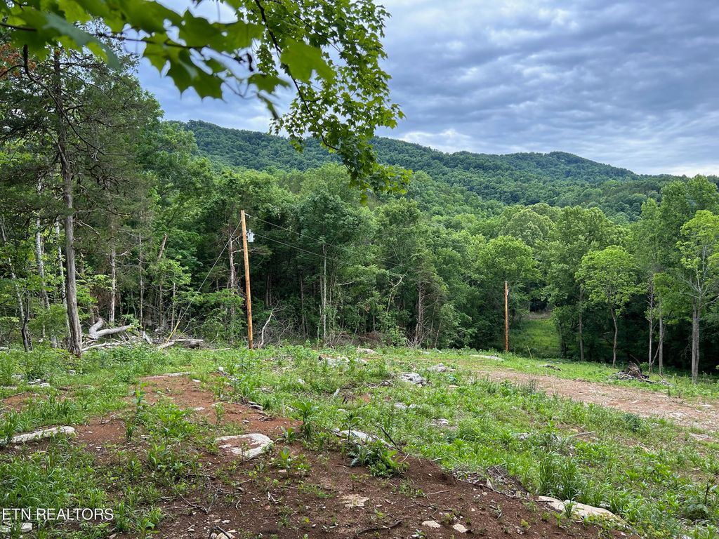 Photo of 6997 Beech Grove Rd, Tazewell, TN 37879 (MLS # 1265821)