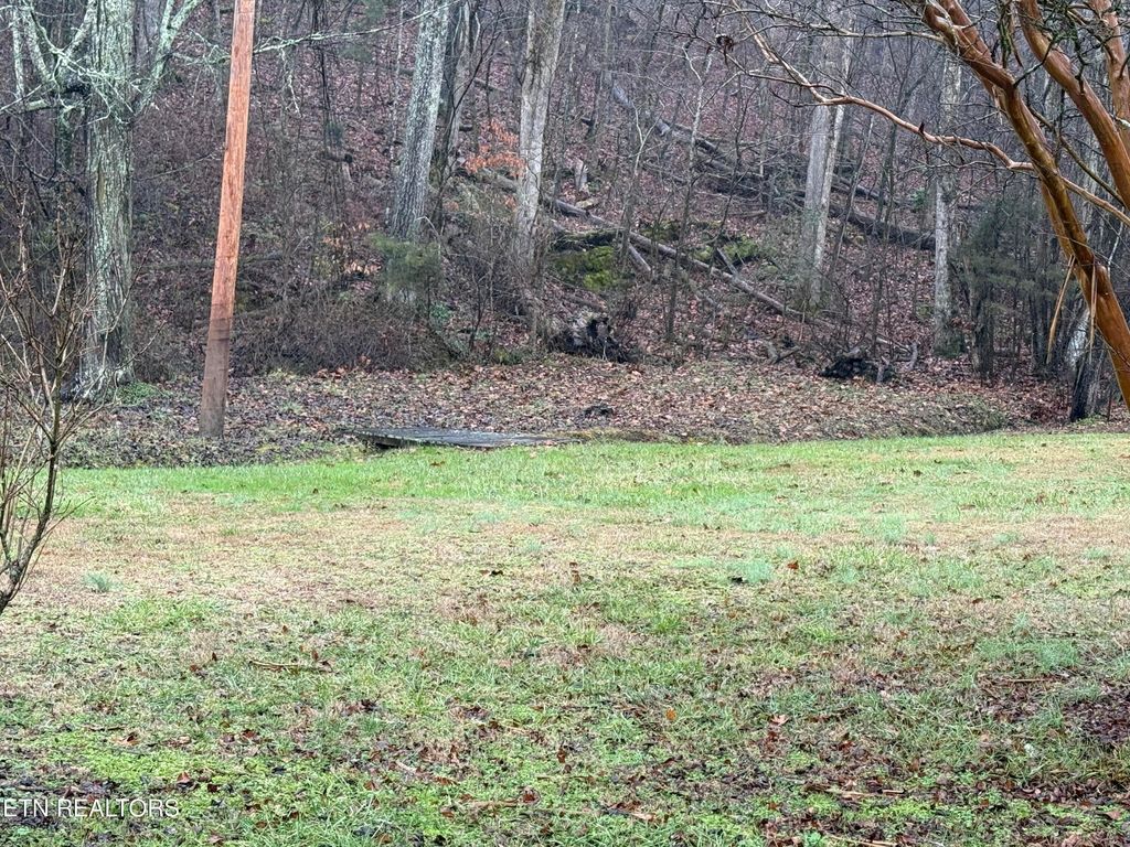 Photo of 117 Old Buck Creek Rd, Kingston, TN 37763 (MLS # 1288764)