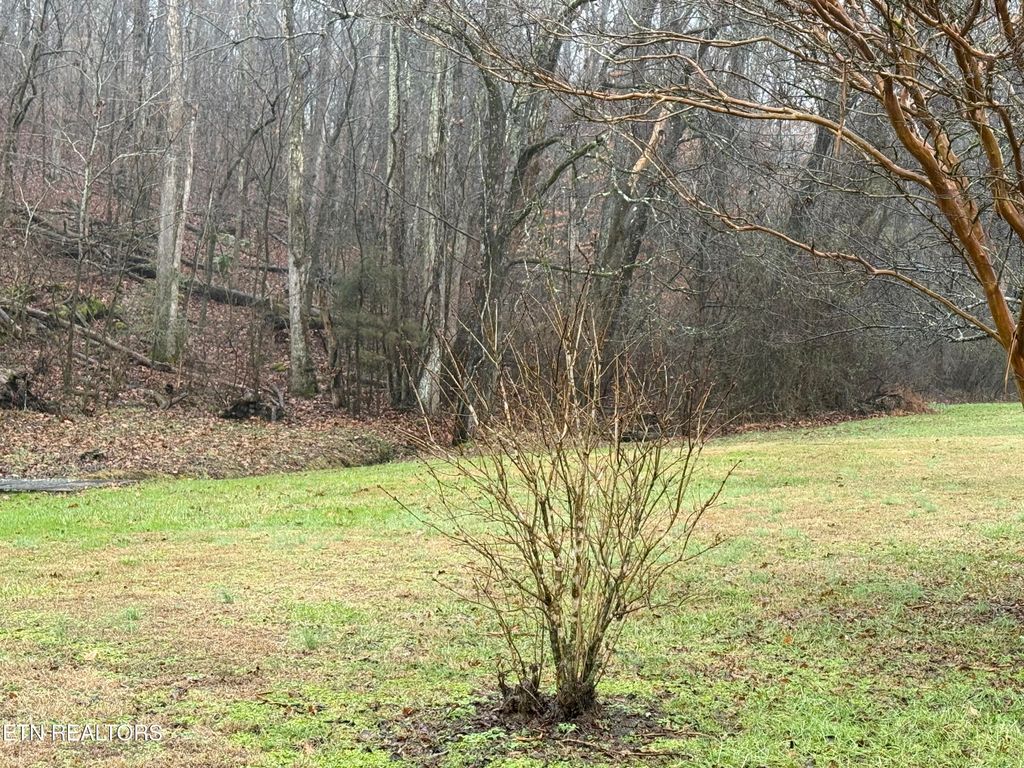Photo of 117 Old Buck Creek Rd, Kingston, TN 37763 (MLS # 1288764)