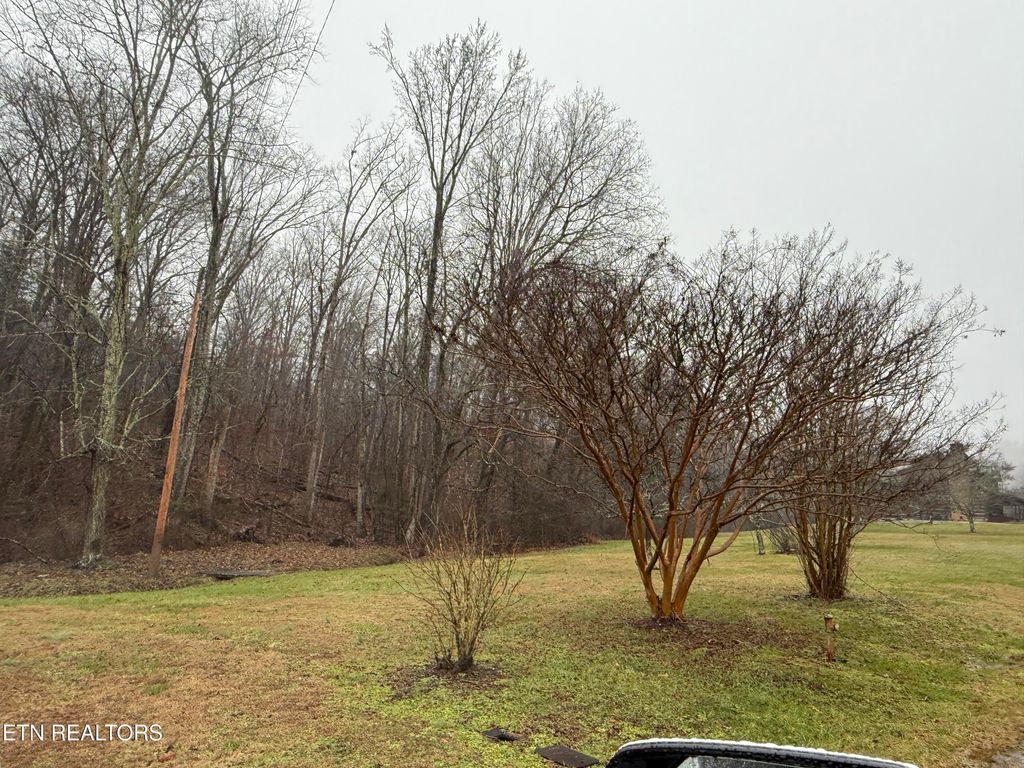 Photo of 117 Old Buck Creek Rd, Kingston, TN 37763 (MLS # 1288764)
