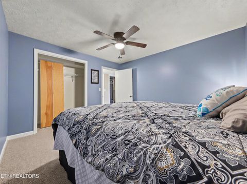 Tiny photo for 129 Bucks and Doe Lane, LaFollette, TN 37766 (MLS # 1327454)