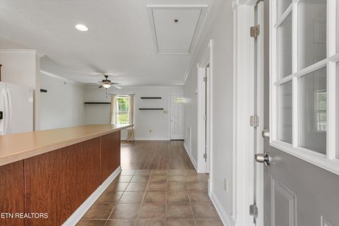 Tiny photo for 4516 Pleasant Ridge Rd, Knoxville, TN 37912 (MLS # 1347051)