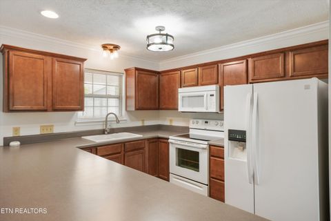 Tiny photo for 4516 Pleasant Ridge Rd, Knoxville, TN 37912 (MLS # 1347051)
