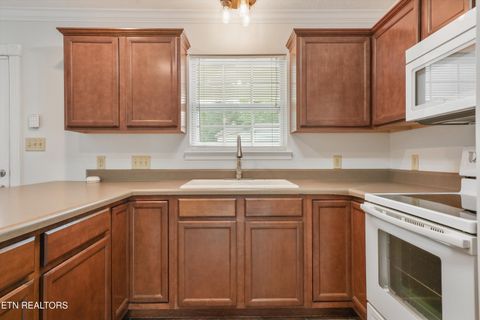Tiny photo for 4516 Pleasant Ridge Rd, Knoxville, TN 37912 (MLS # 1347051)