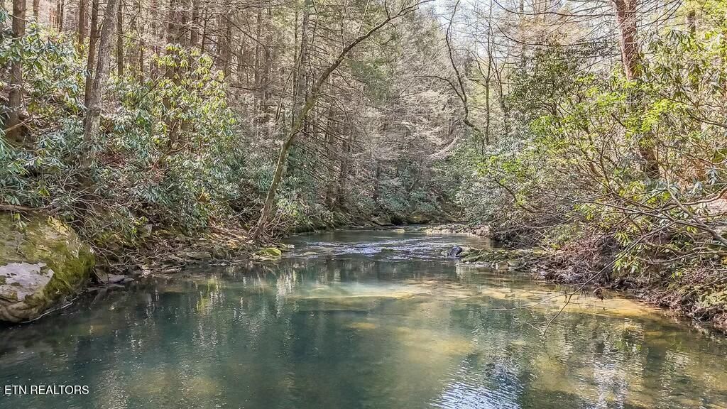 Photo of 460 Twin Bridge Rd, Deer Lodge, TN 37726 (MLS # 1296544)