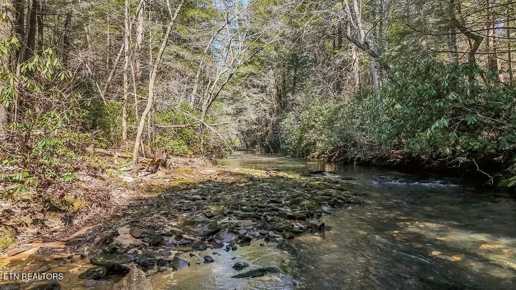 Photo of 460 Twin Bridge Rd, Deer Lodge, TN 37726 (MLS # 1296544)