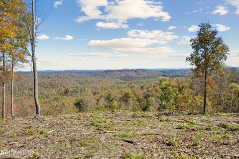 Photo of Sheep Ranch Rd., Robbins, TN 37852 (MLS # 1322886)