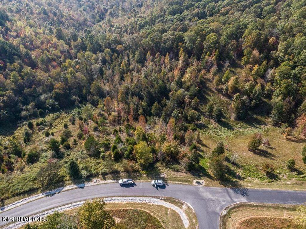 Photo of Emerald Pointe Circle, Rockwood, TN 37854 (MLS # 1299408)