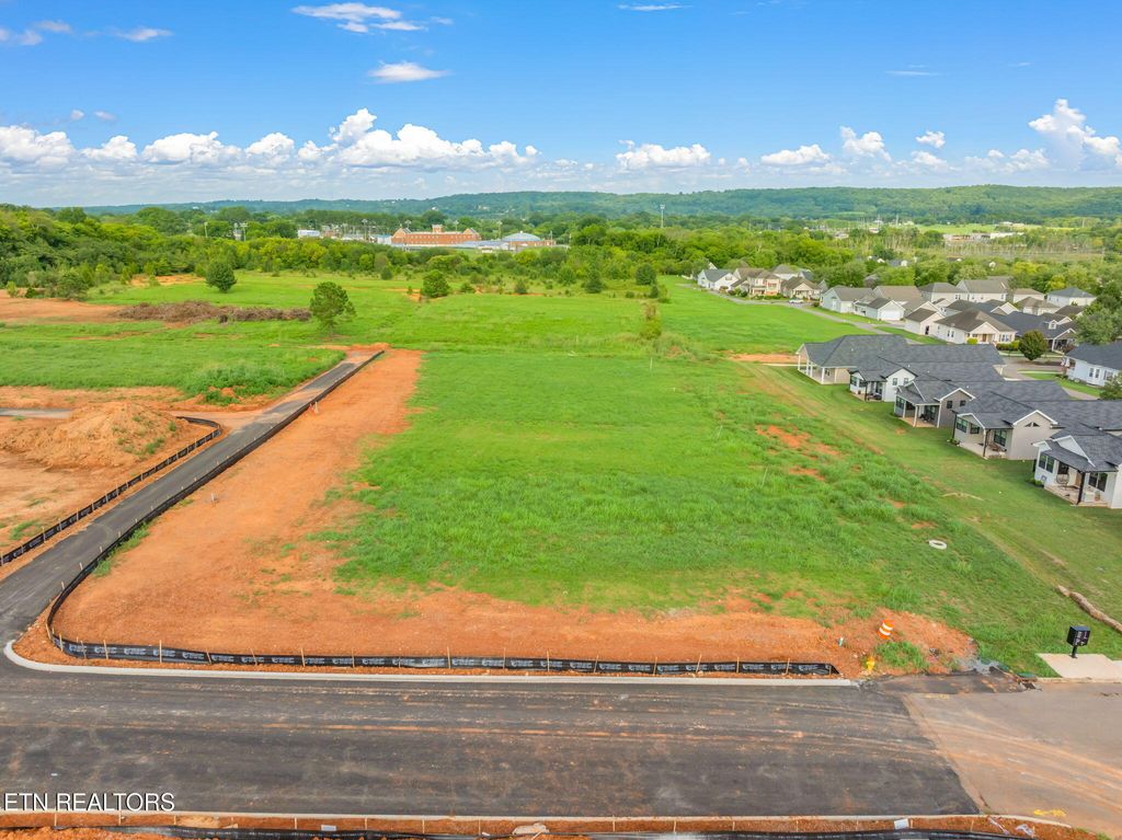 Photo of 1019 Wentford Avenue Ave, Sweetwater, TN 37874 (MLS # 1314364)
