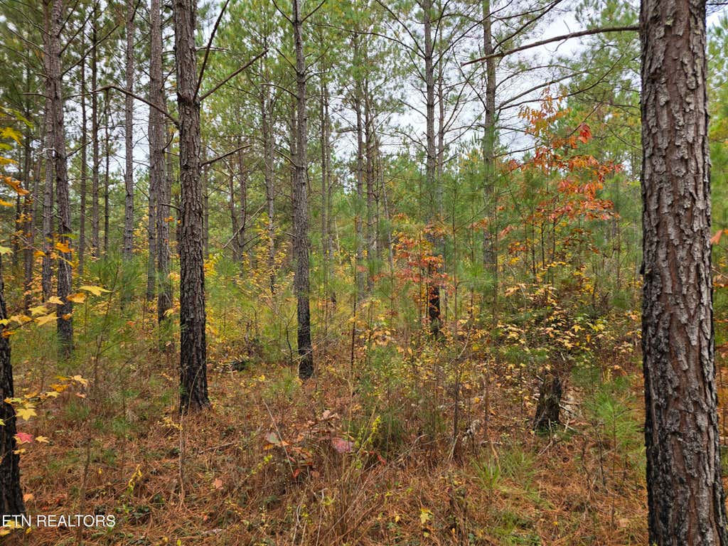 Photo of 8 Everette Lane, Robbins, TN 37852 (MLS # 1282227)