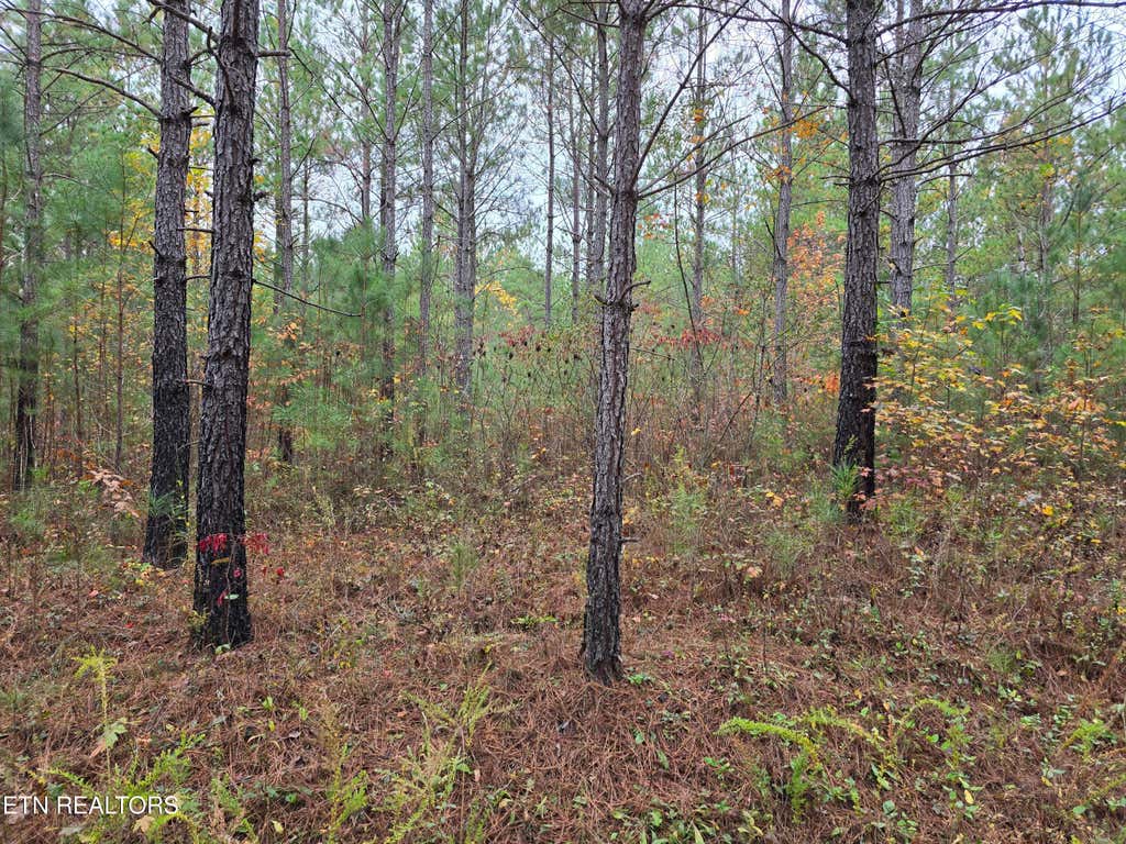 Photo of 8 Everette Lane, Robbins, TN 37852 (MLS # 1282227)