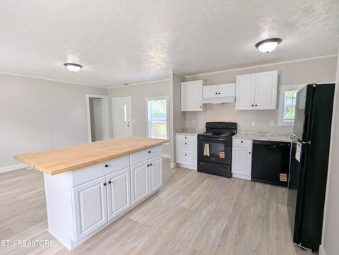 Tiny photo for 203 Pettit St, Vonore, TN 37885 (MLS # 1343282)