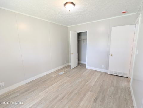 Tiny photo for 203 Pettit St, Vonore, TN 37885 (MLS # 1343282)