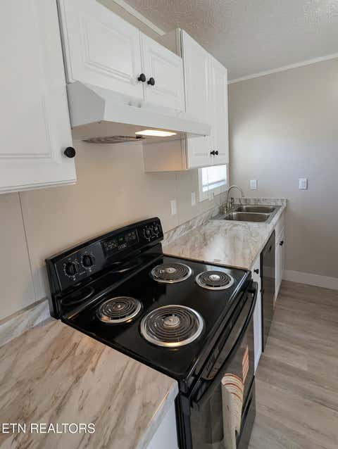 Tiny photo for 203 Pettit St, Vonore, TN 37885 (MLS # 1343282)