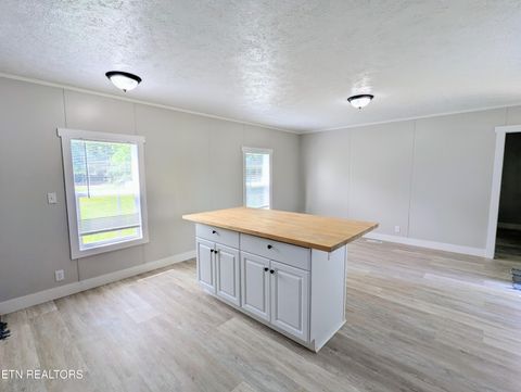 Tiny photo for 203 Pettit St, Vonore, TN 37885 (MLS # 1343282)