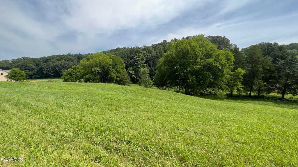 Photo of 5 Shady Rd, Strawberry Plains, TN 37871 (MLS # 1233014)