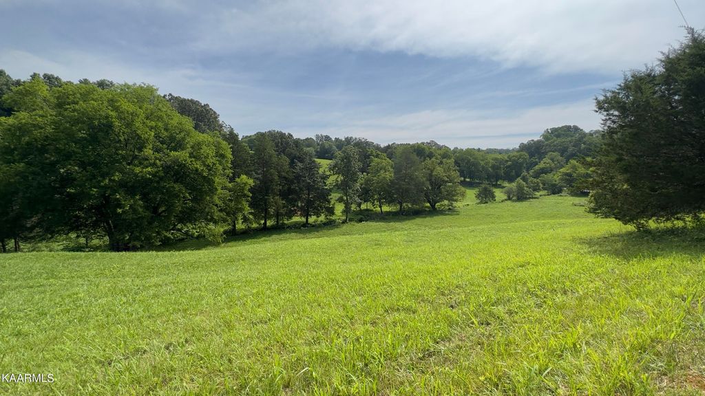 Photo of 5 Shady Rd, Strawberry Plains, TN 37871 (MLS # 1233014)