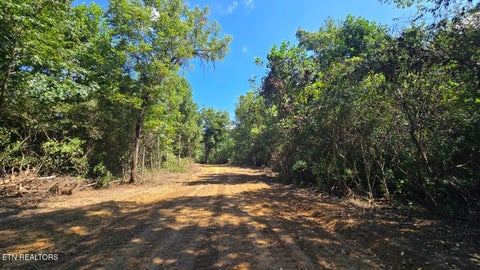 Photo of 0 New River Rd, Huntsville, TN 37756 (MLS # 1353098)