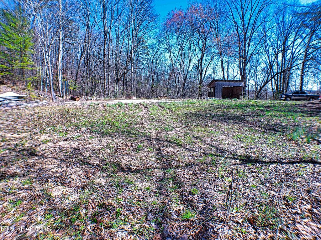 Photo of 243 Shady Rd, Oliver Springs, TN 37840 (MLS # 1294902)