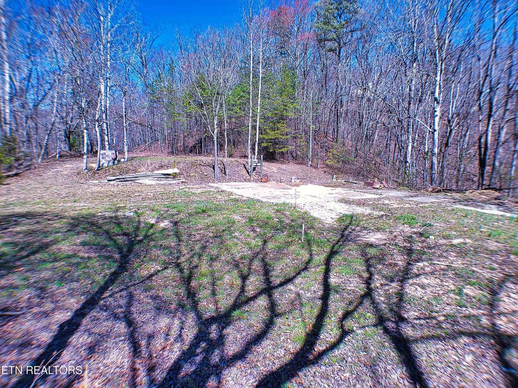 Photo of 243 Shady Rd, Oliver Springs, TN 37840 (MLS # 1294902)