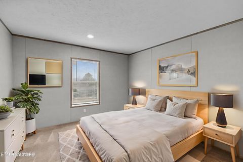 Tiny photo for 509 Smokey Rd, Rutledge, TN 37861 (MLS # 1325958)