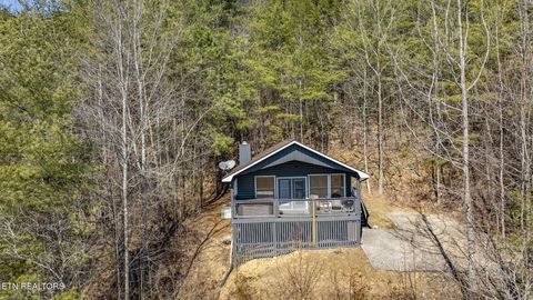 4501 Donna Allen Way 1 Cosby TN 37722