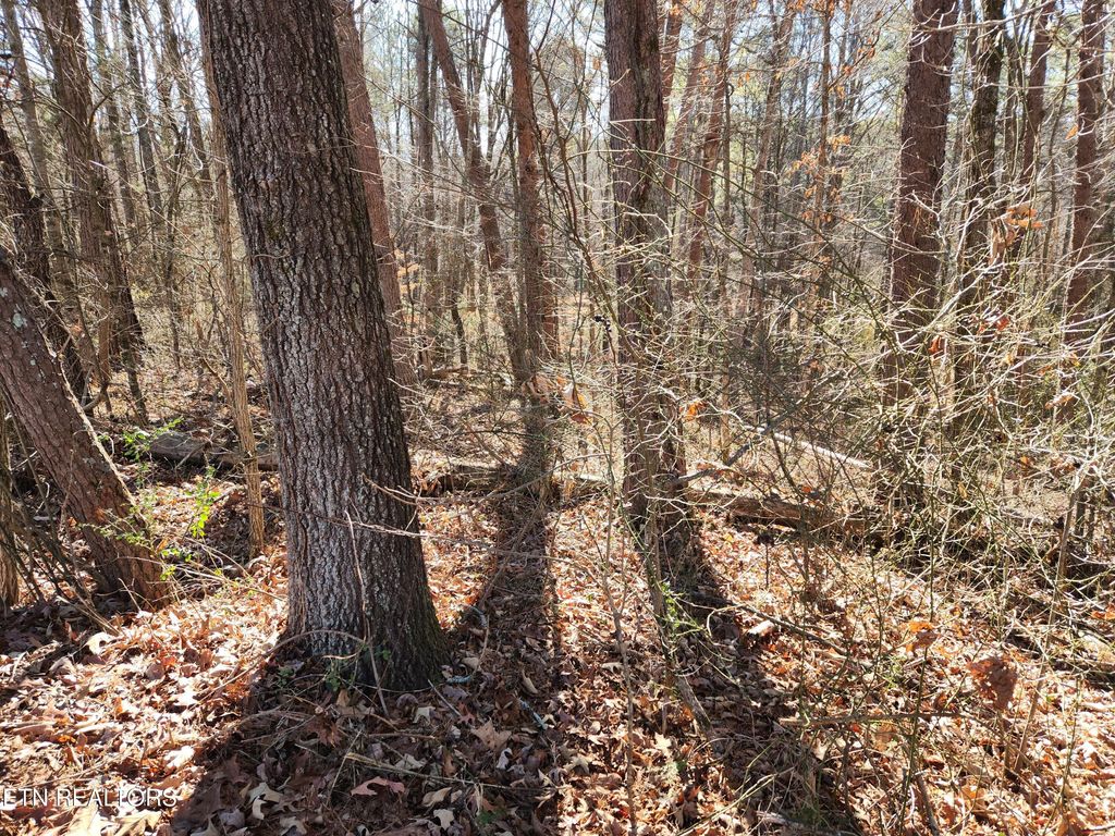 Photo of Creek Rd, Sweetwater, TN 37874 (MLS # 1324222)
