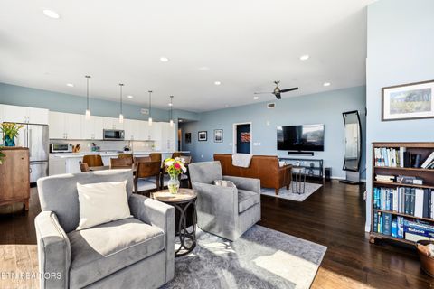 Tiny photo for 333 W Depot Ave #507, Knoxville, TN 37917 (MLS # 1339185)