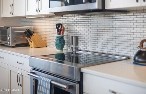 Tiny photo for 333 W Depot Ave #507, Knoxville, TN 37917 (MLS # 1339185)