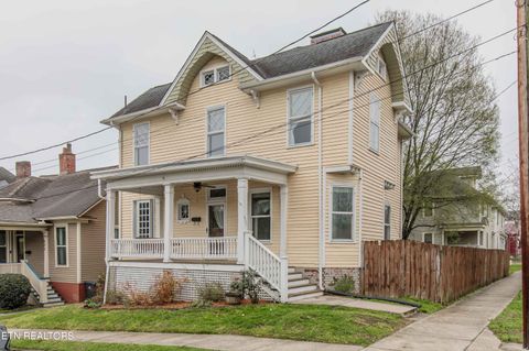 Photo of 631 Eleanor St, Knoxville, TN 37917 (MLS # 1333165)