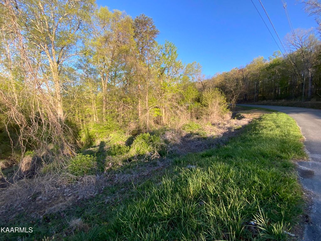 Photo of Island Ford Rd, Rocky Top, TN 37769 (MLS # 1223519)