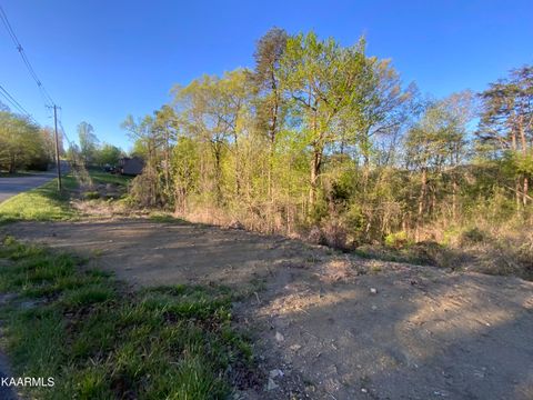Island Ford Rd Rocky Top TN 37769