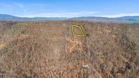 177 Eagle View Lane Jacksboro TN 37757