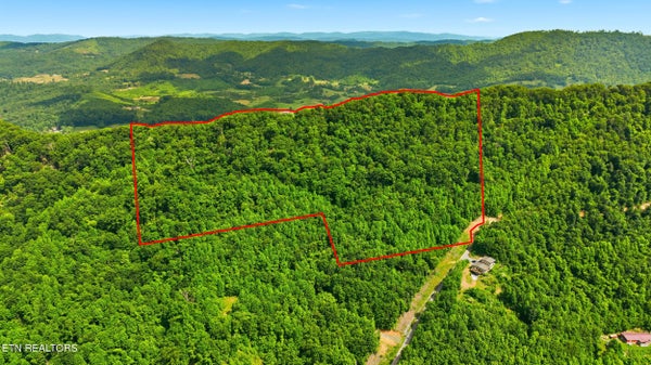 ADDRESS PRIVATE, DUFFIELD, VA 24244 - Image b05480c12dcee28e2fcd3bae5c5c2117/429227358