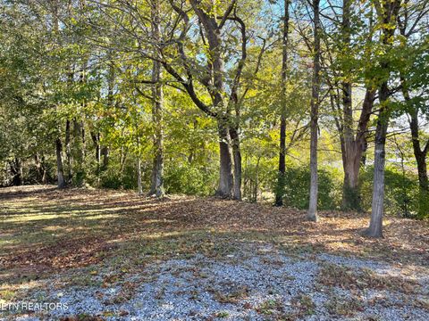 Tiny photo for 140 Wood St, Madisonville, TN 37354 (MLS # 1319542)