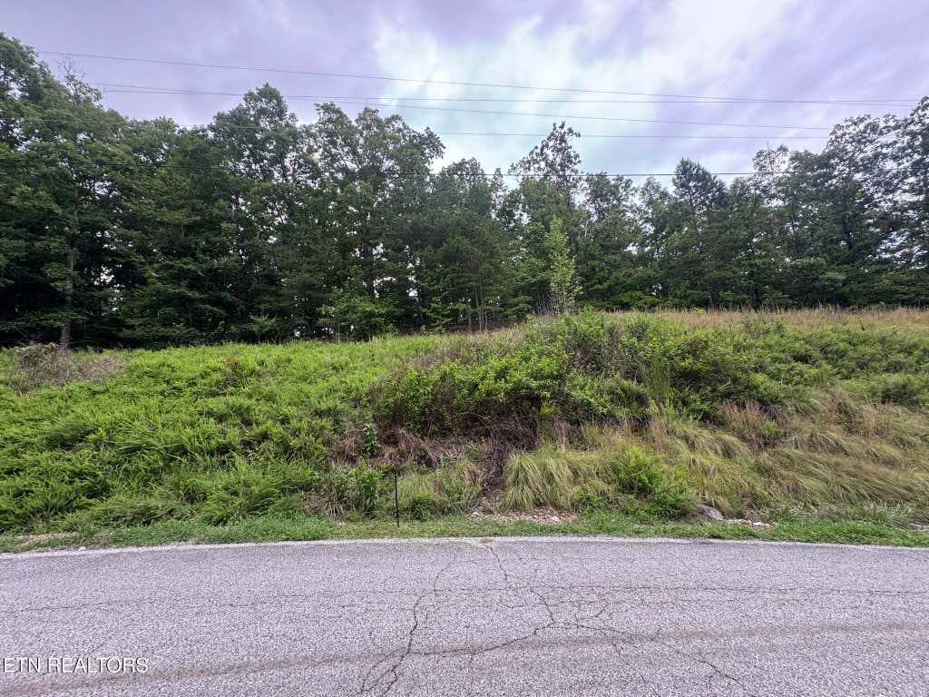Photo of Hidden Oaks Rd, Rockwood, TN 37854 (MLS # 1349355)