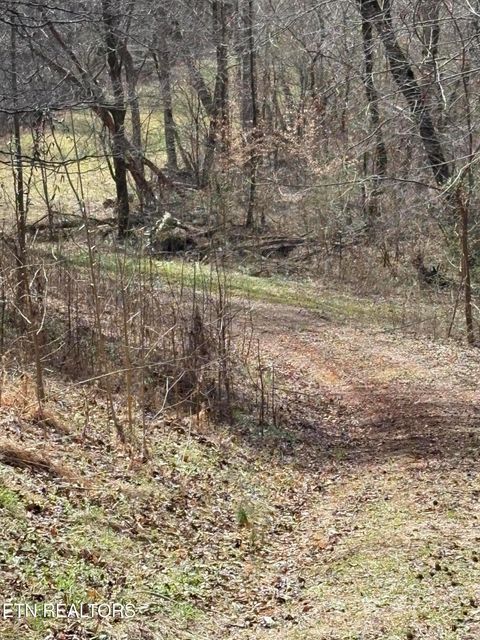 Photo of 809 State Highway 310, Englewood, TN 37329 (MLS # 1330683)