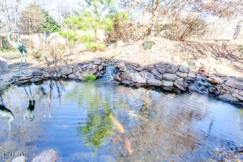 Tiny photo for 817 Tate Trotter Rd, Powell, TN 37849 (MLS # 1325542)