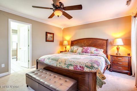 Tiny photo for 817 Tate Trotter Rd, Powell, TN 37849 (MLS # 1325542)